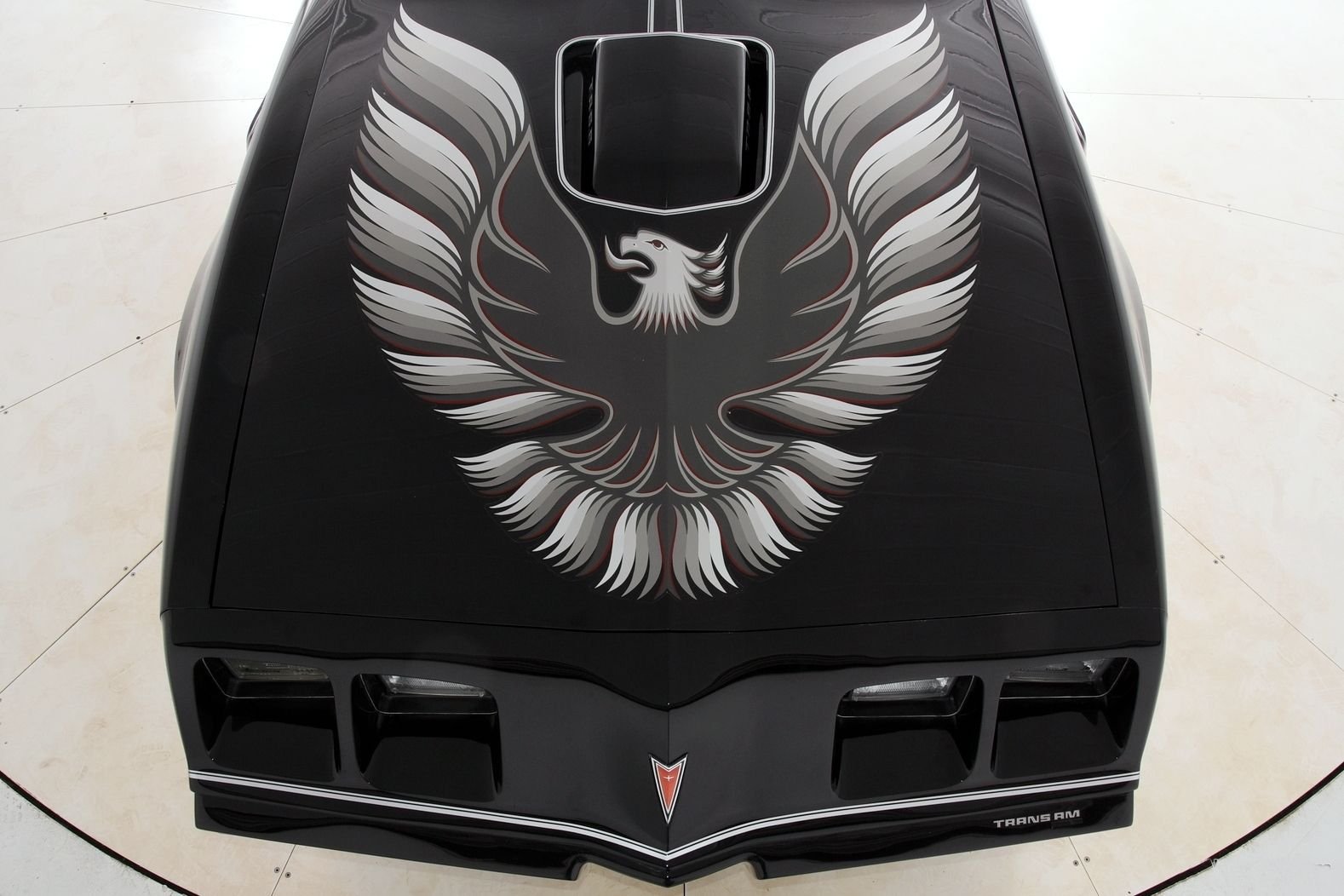 1979 Pontiac Firebird Trans Am thumbnail 7