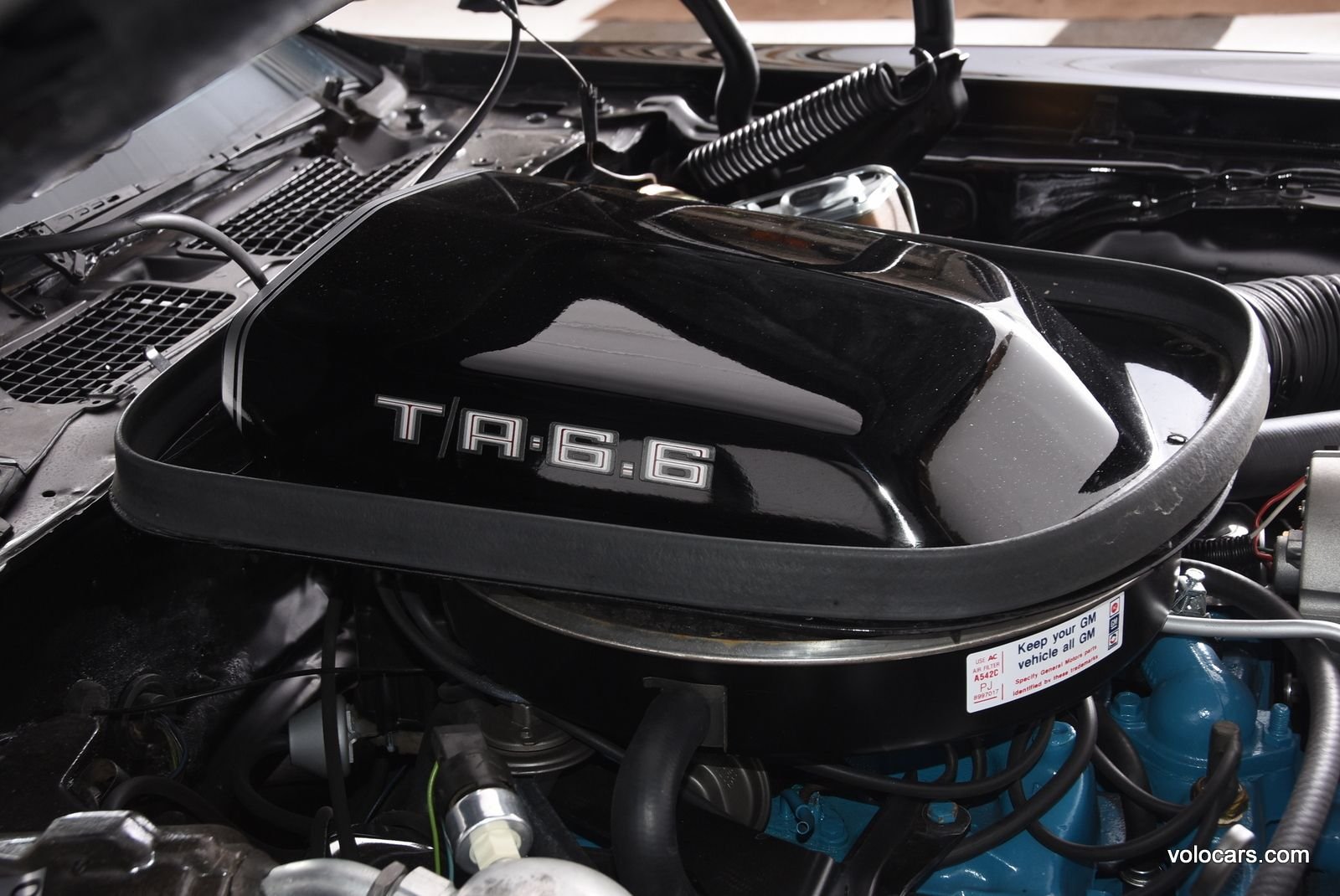 1979 Pontiac Firebird Trans Am thumbnail 10