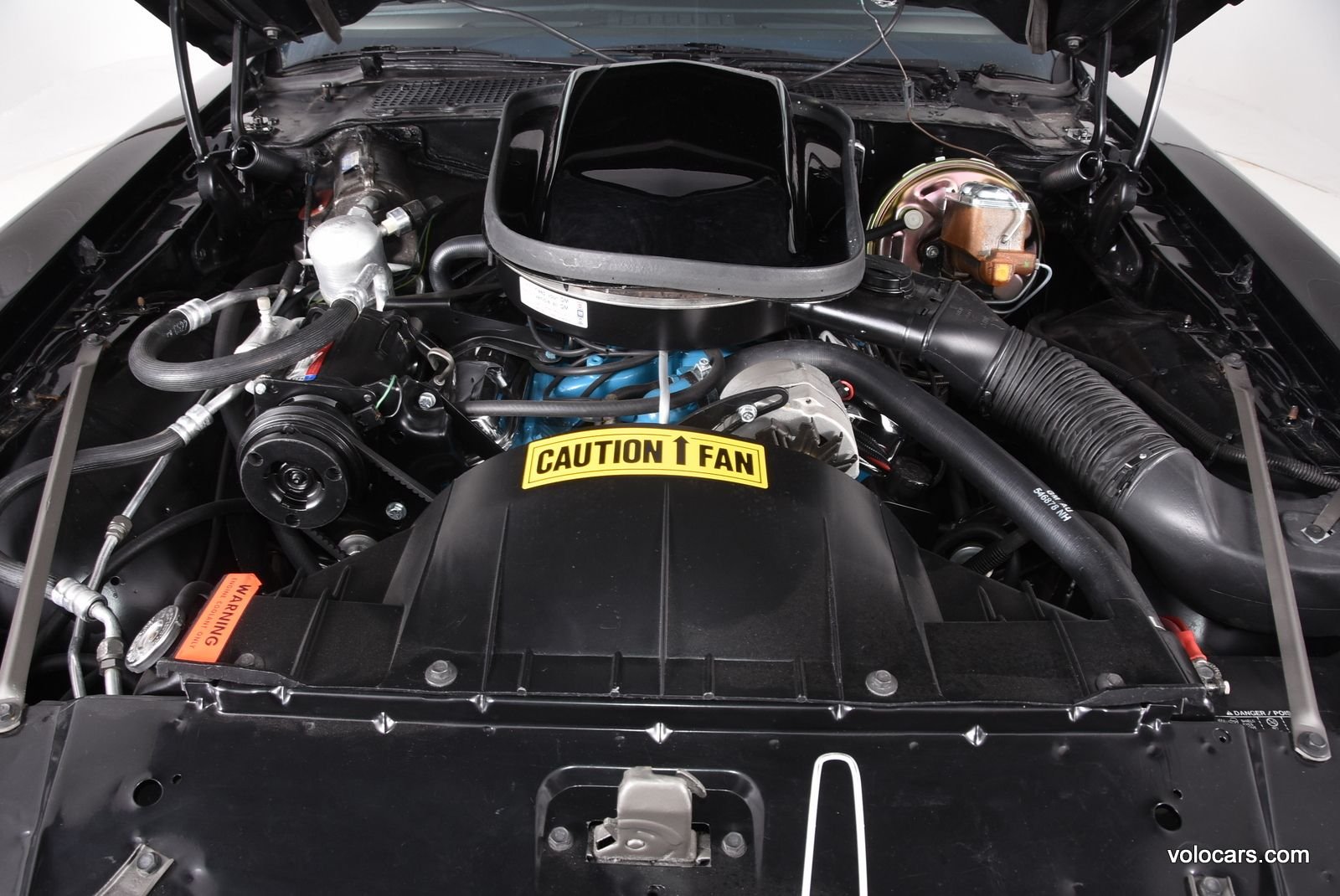 1979 Pontiac Firebird Trans Am thumbnail 11