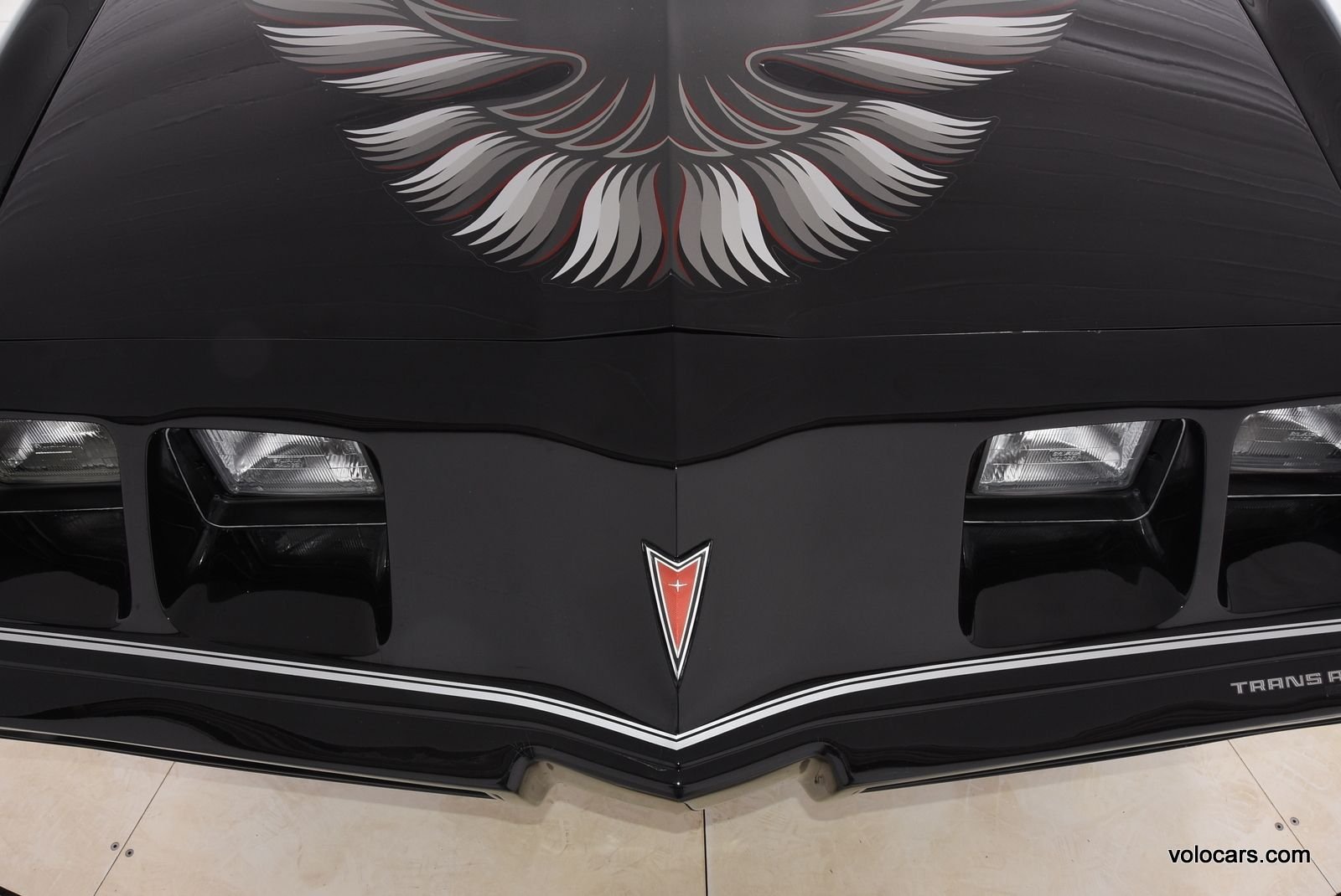 1979 Pontiac Firebird Trans Am thumbnail 44