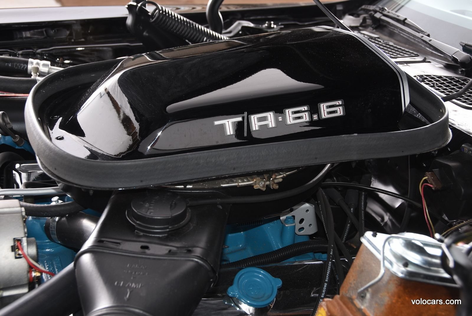 1979 Pontiac Firebird Trans Am thumbnail 75