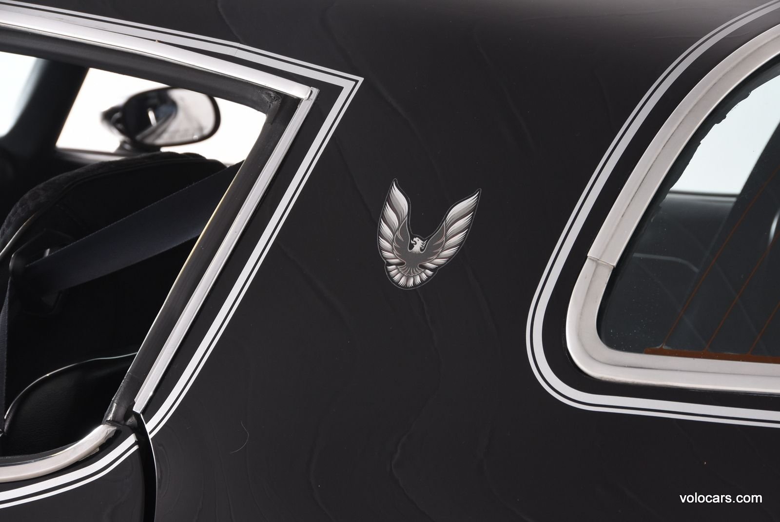 1979 Pontiac Firebird Trans Am thumbnail 98